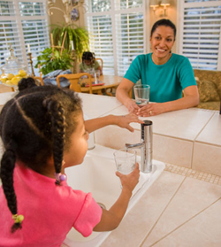 Delphi water ionizer