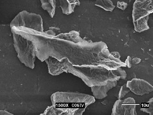 Microscopic particle of clay
