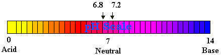 Graphic of a color coded pH scale